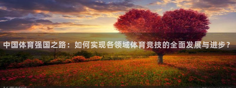 球宴体育官方：中国体育强国之路：如何实现各领域体育竞技的全面发展与进步？