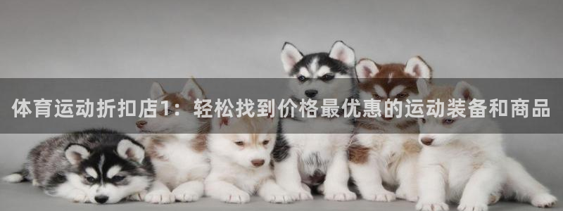 球宴体育免费下载安装：体育运动折扣店1：轻松找到价格最优惠的运动装备和商品