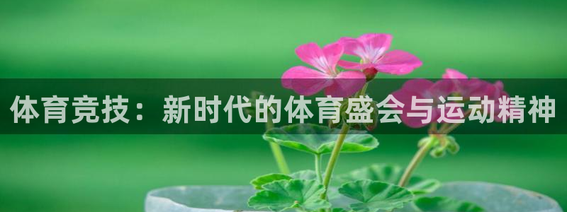 球宴体育iOS最新版本更新内容：体育竞技：新时代的体育盛会与运动精神