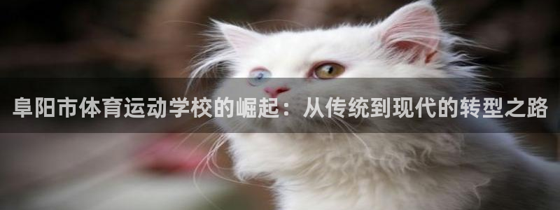 球宴体育官方：阜阳市体育运动学校的崛起：从传统到现代的转型之路