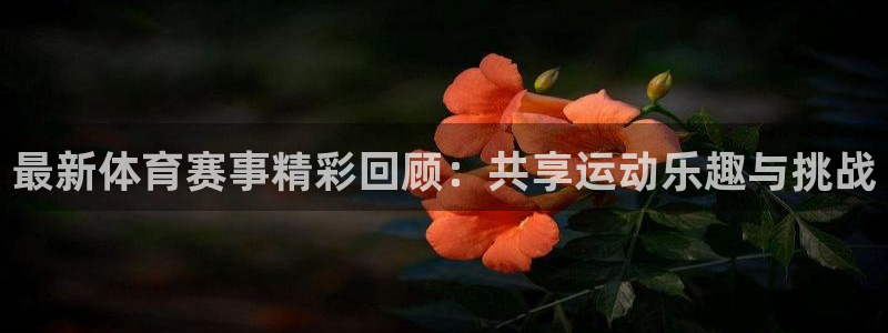 球宴体育app：最新体育赛事精彩回顾：共享运动乐趣与挑战