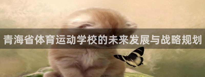 球宴体育app下载官网：青海省体育运动学校的未来发展与战略规划