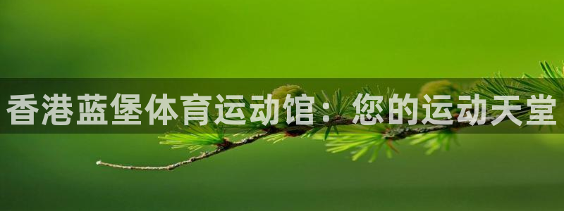 球宴体育app下载官网：香港蓝堡体育运动馆：您的运动天堂